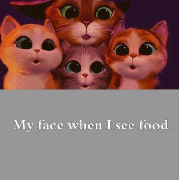 tumblr_mzh599KfRt1tpji3io1_540